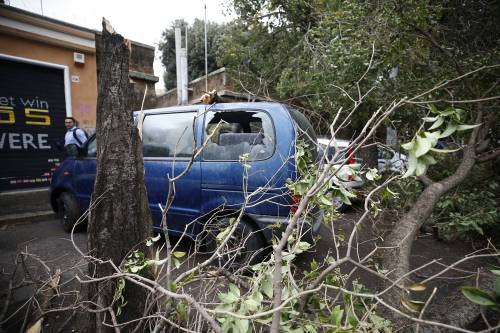 Maltempo, Roma bloccata a causa dei rami crollati