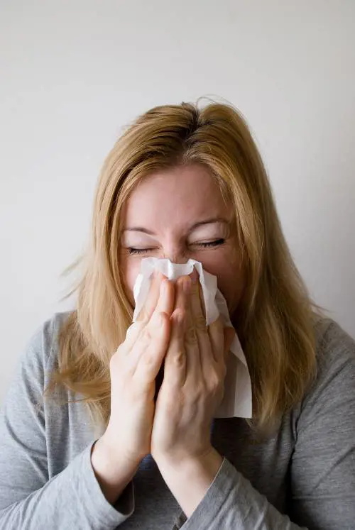 È arrivata l'influenza: isolato a Parma il primo virus