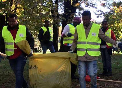 Stop ai profughi nella cura del verde urbano