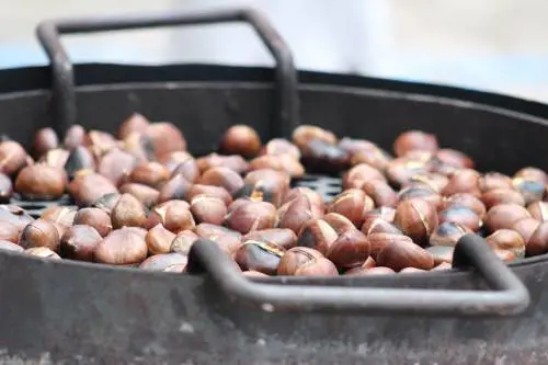 "No castagne in strada": la delibera dell'800 scatena le polemiche
