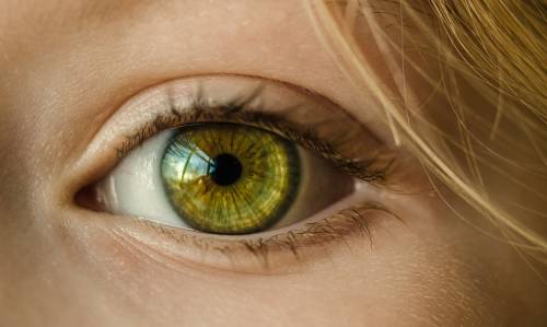 Un cerotto oculare rilascerà direttamente i farmaci nell’occhio