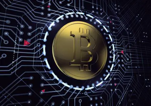 Il tracollo delle criptovalute, l'asset meno sostenibile