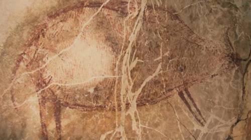 Borneo, le più antiche pitture rupestri: hanno oltre 40mila anni