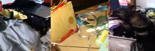 Ancona, orrore nella casa occupata da nigeriani. Stuprata 15 volte a ripetizione