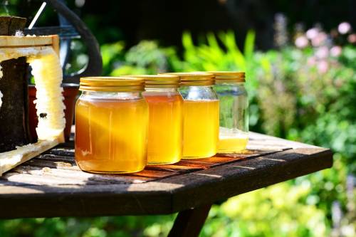 Miele: naturale antinfiammatorio per l’inverno
