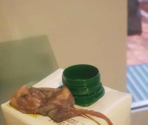 Taranto, mamma trova un topo nel succo di frutta del figlio