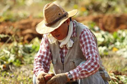 La giustizia svenduta per 400 chili di patate