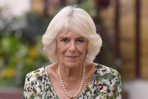 Carlo, Camilla e Diana: dietro le firme il destino della Royal Family