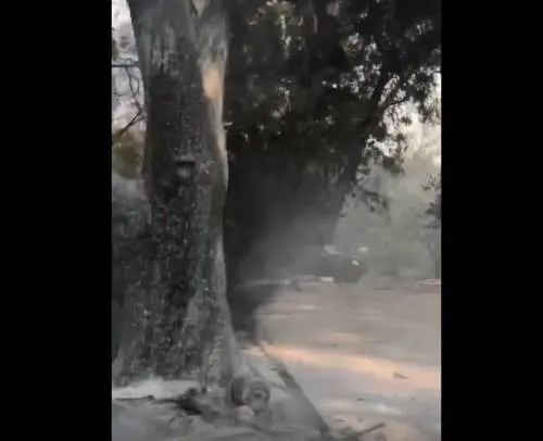 Incendi in California, la casa distrutta di Gerard Butler