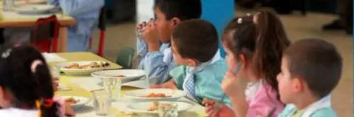 Pisa, trovati insetti nei piatti serviti ai bimbi delle elementari