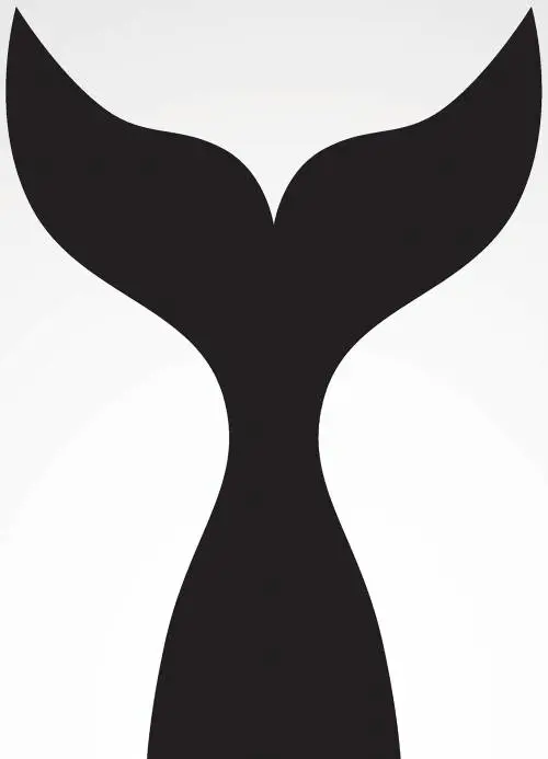 Quando Orson Welles inseguì Moby Dick