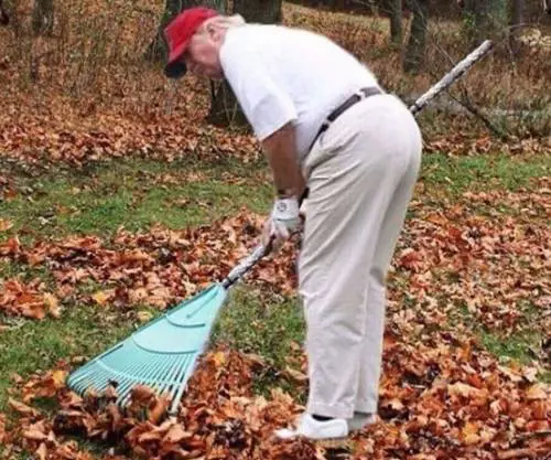 "Rastrellare evita i roghi": Trump deriso sui social