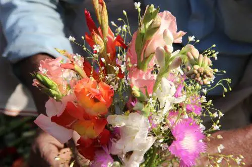 La burocrazia da impazzire: 3 enti e 5 atti per un mazzo di fiori (da 25 euro)