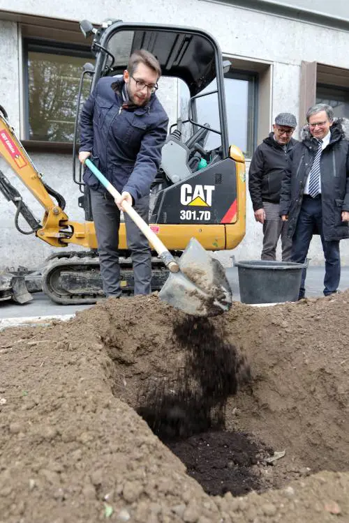 Alberi anche in posteggi e cavalcavia