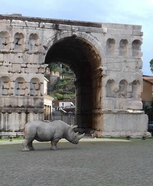 Quella strana storia del rinoceronte dimenticato tra i monumenti di Roma