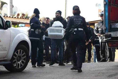 Casamonica, durante lo sgombero aggrediscono gli agenti. Il punto sugli arresti