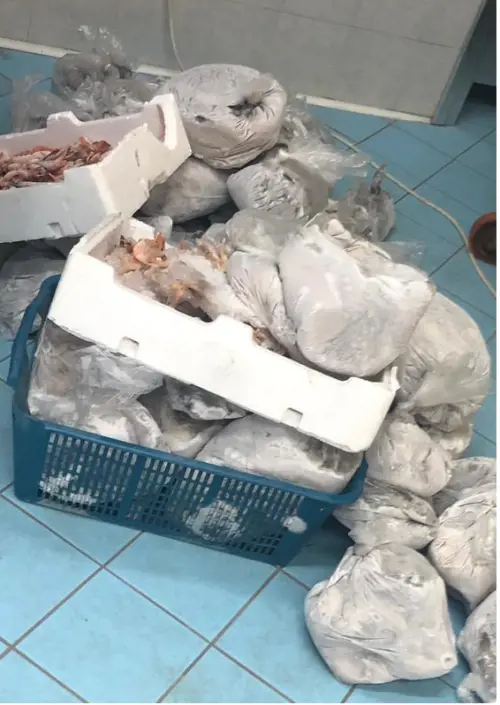 Pesce non tracciabile e malconservato, scatta il sequestro