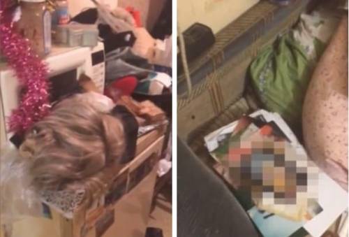 Toy boy cannibale uccide l'amante e ne mangia il cervello: condannato a 19 anni