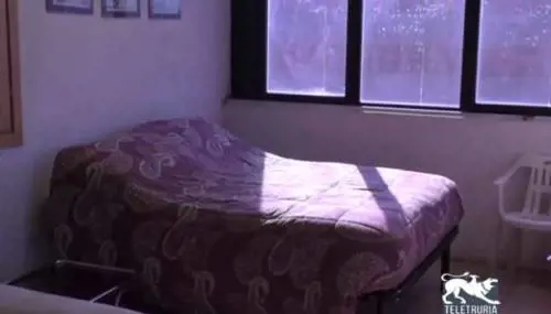 Dopo 38 furti dormiva in azienda: "Vivo nel terrore da 4 anni per i ladri"