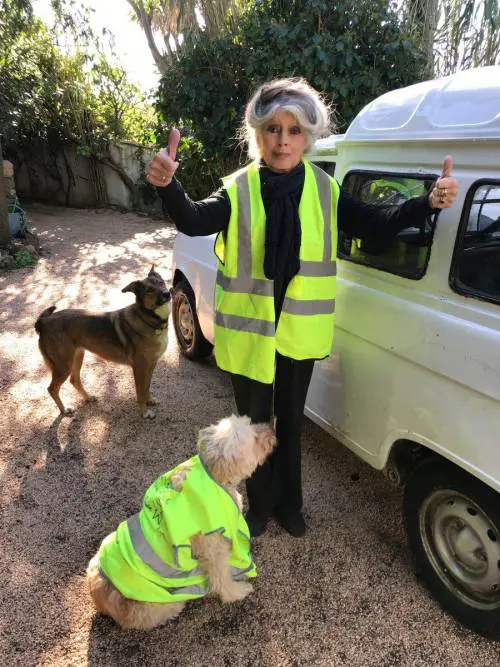 La Bardot sta con i gilet gialli. E augura "buon ittero" a Macron