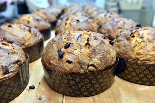 Nel feudo dei Visconti dove è nato il panettone