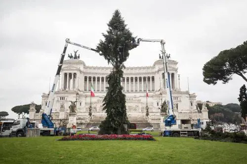 "Quei rami sezionati solo per il trasporto". Ma è giallo su Spezzacchio