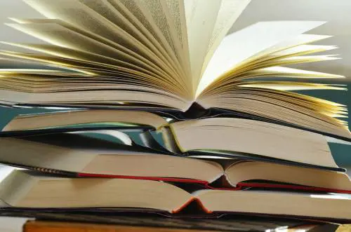 Esiste una letteratura dimenticata contro il Parlamento e per le élite