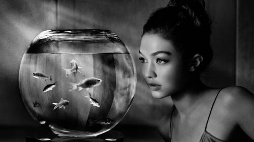 Pirelli 2019, tra sensualità ed erotismo il calendario dell'anno che verrà 