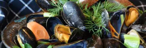 Allerta su cozze contaminate da tossine
