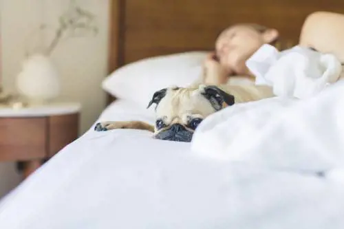 Come arredare la camera da letto e dormire bene