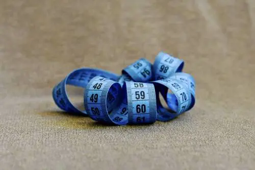 A 70 anni spende una fortuna per allungare il pene: "Mi deprimeva"