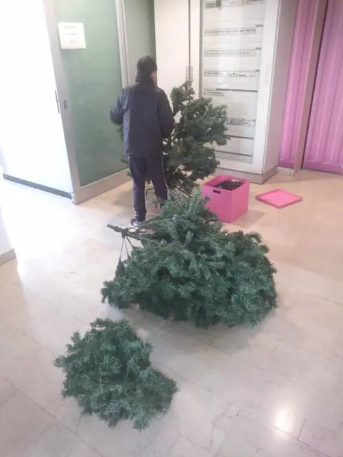 La lezione del papà musulmano ai "cattivi maestri": "I miei figli partecipino al Natale"