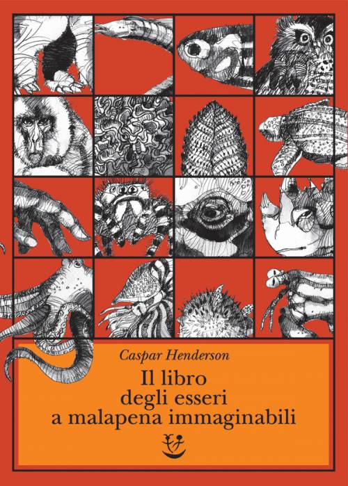 Granchi-yeti e murene: è un mondo di meraviglie