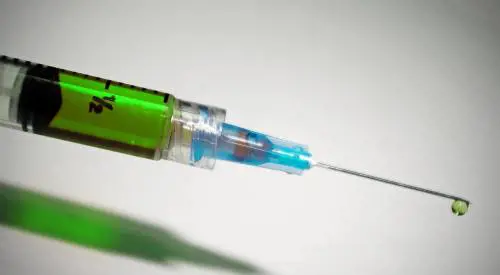 Hiv: risultati promettenti da un vaccino sulle scimmie