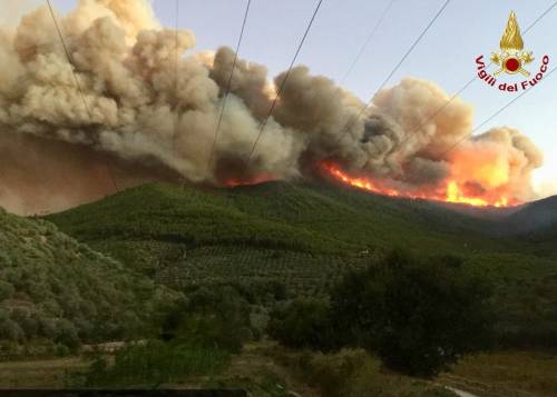Rogo devastò Monte Serra: il presunto piromane è volontario dell'antincendio