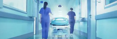 Scabbia, nuovi casi tra allarmismi e disinformazione