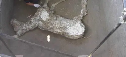 Pompei, trovato cavallo con ricca bardatura militare