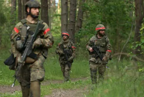 Ecco le "Sturmtruppen" che preoccupano Berlino