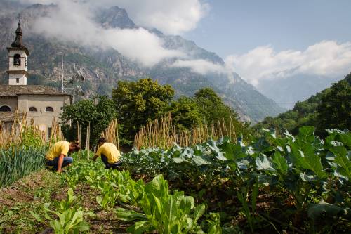 I contadini di montagna che danno la caccia ai semi antichi