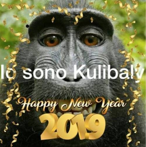 "Io sono Koulibaly" con una scimmia: ora anche gli auguri razzisti