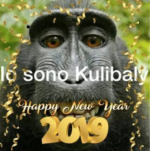 "Io sono Koulibaly" con una scimmia: ora anche gli auguri razzisti
