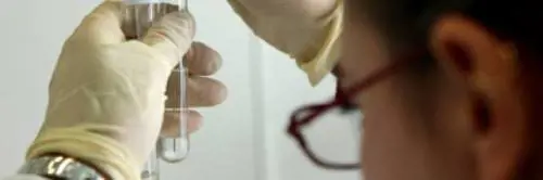 500 anni di esperimento per capire l'evoluzione degli organismi viventi