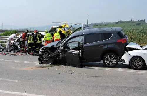 I cinghiali attraversano l'autostrada: un morto nell'incidente