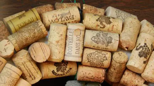 Meglio sughero o a vite? Il dilemma del tappo tra verità e pregiudizi