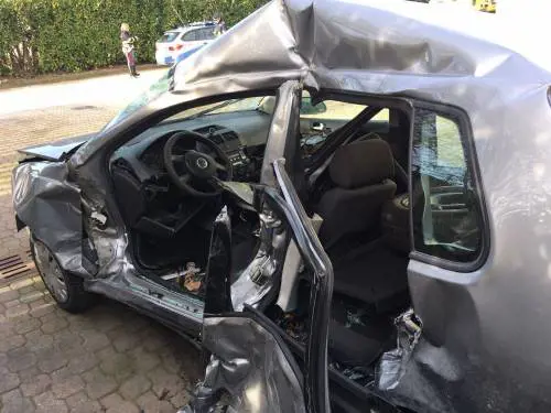 I cinghiali in autostrada fanno un morto