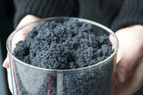 Lascia gli Usa, torna e sfonda con la "start-up" del grafene