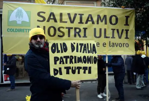 La protesta della Coldiretti davanti al ministero dell'Agricoltura
