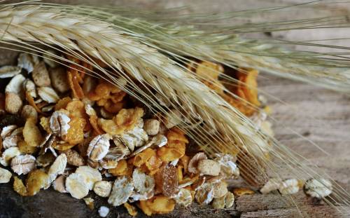 Cereali e fibre aiutano contro cancro, diabete e infarto