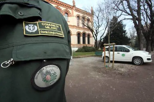 Fido in libertà, strade sporche "Manca il bon ton animale"