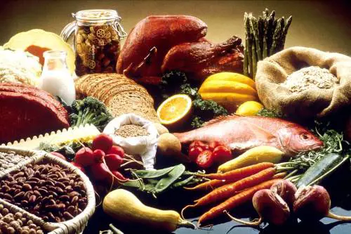 La vitamina B12, fonte di benessere per il nostro organismo 